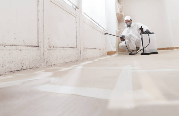 24/7 Emergency Basement Mold Removal experts in Evans, GA