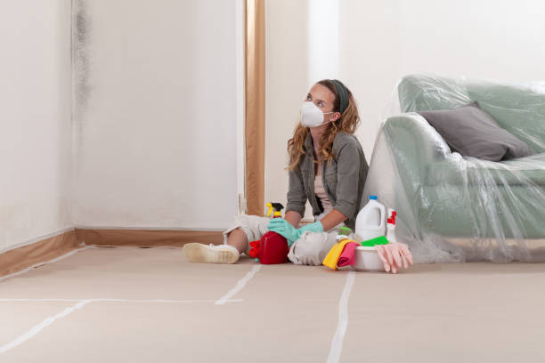 Reliable Basement Mold Removal contractor in Evans, GA by WQB Mold Removal